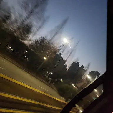 Profile image of 파이브