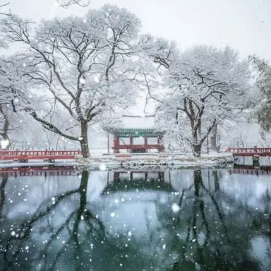 Profile image of 世宗大王 李祹