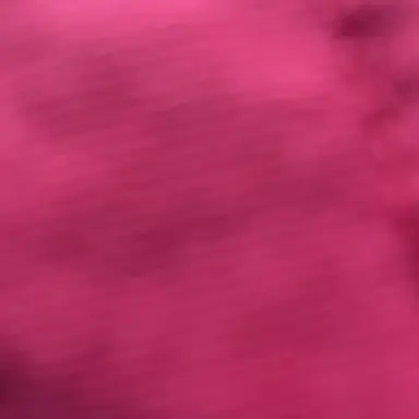 Profile image of ポピー