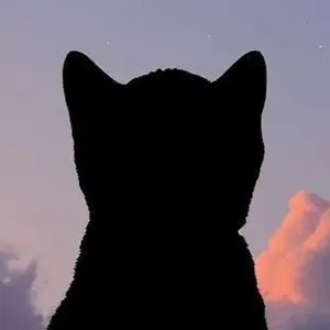 Profile image of 仁木