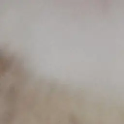 Profile image of 박원빈