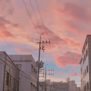 Profile image of 밥풀