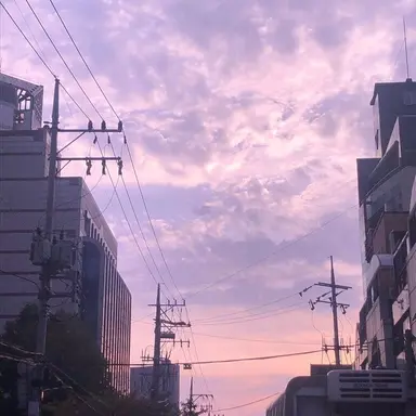 Profile image of 멜로우
