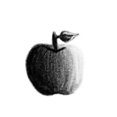 Profile image of 모모에_단골3