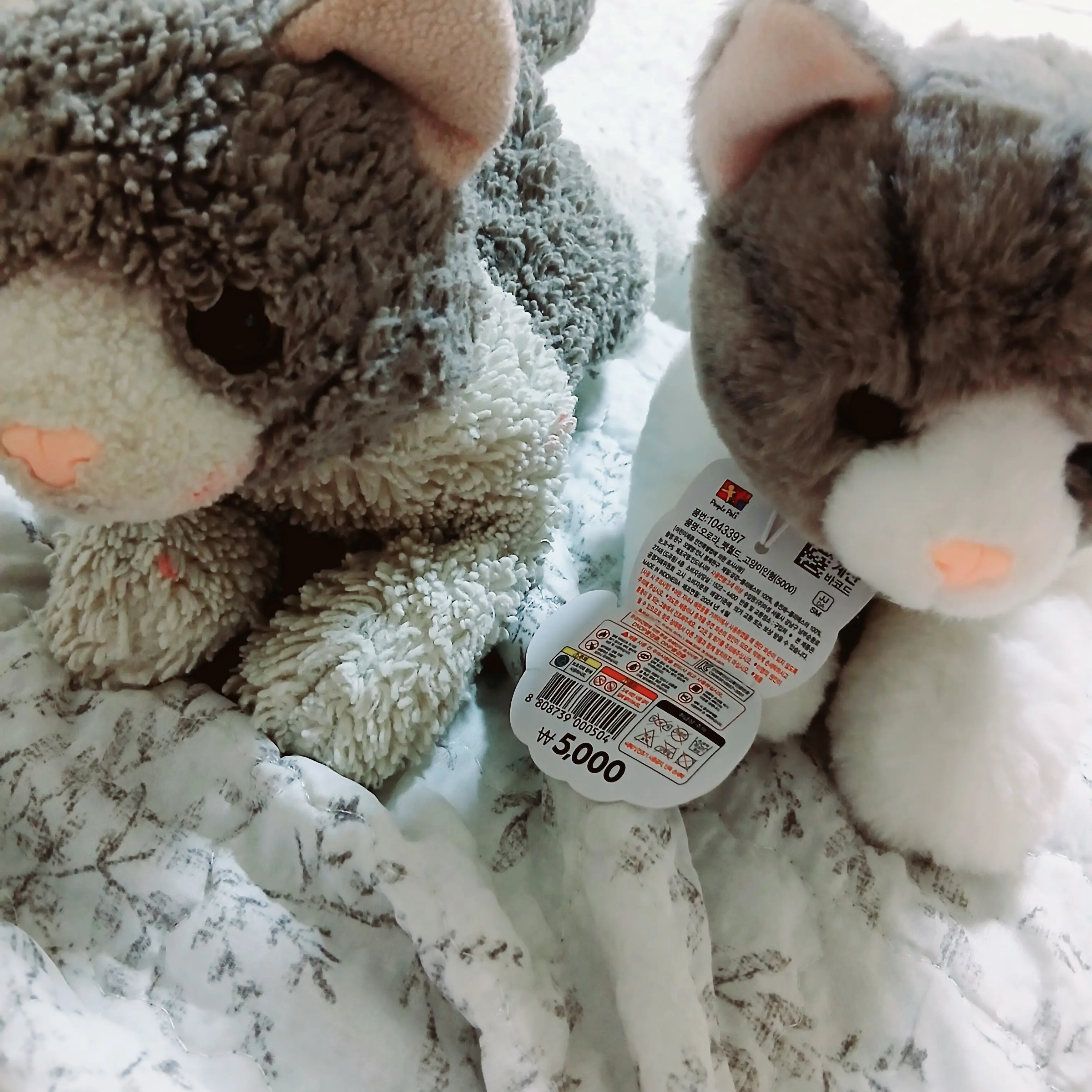ekfrwpxl의 또미&또야