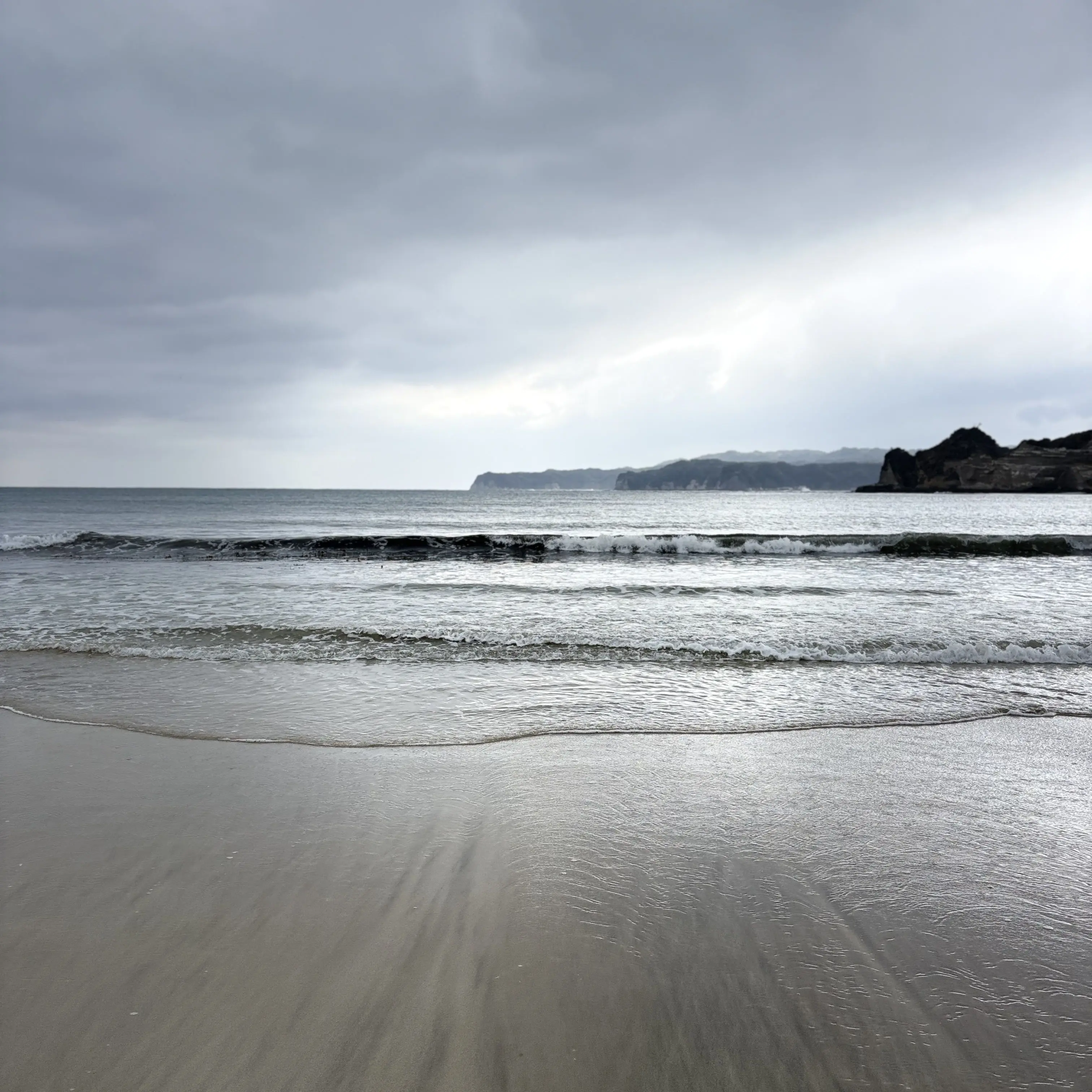 Sharakusee_srp_and_fur_osshi의 喧嘩無敗のボス