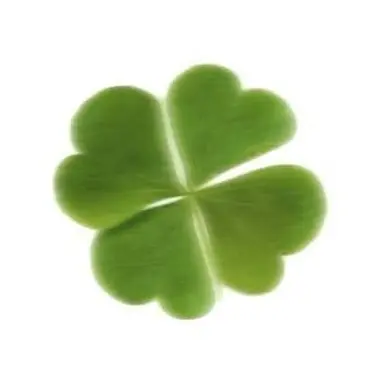 Profile image of 慎太郎