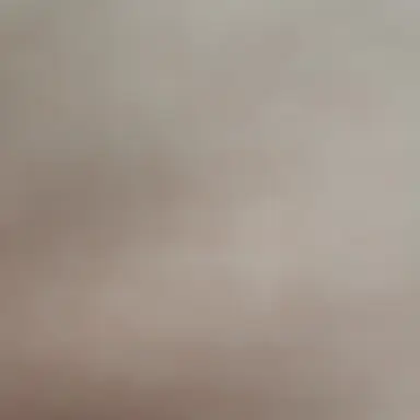 Profile image of 제타