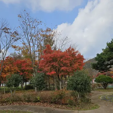 Profile image of 아이엔