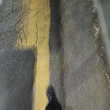 Profile image of 승민