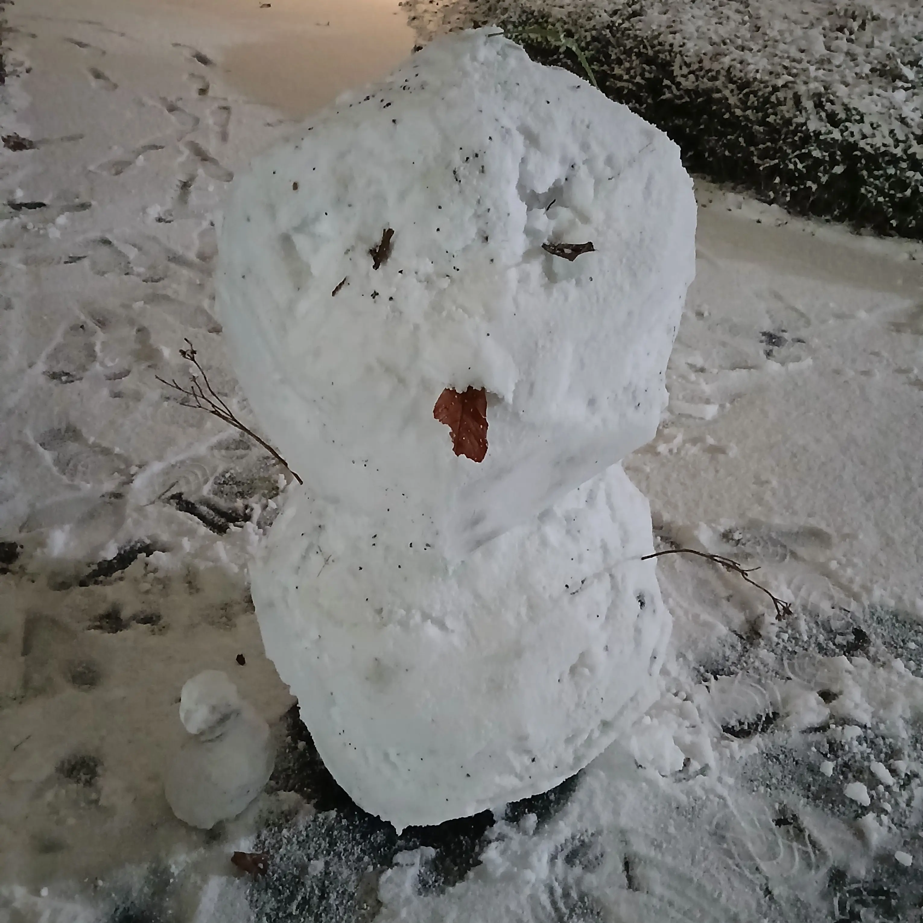 Fhshbdbxh의 내 눈사람 뿌순 #끼 잡았다