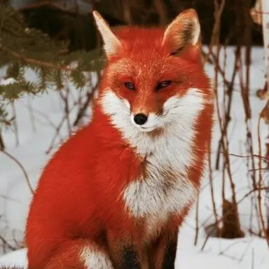 Profile image of 여주