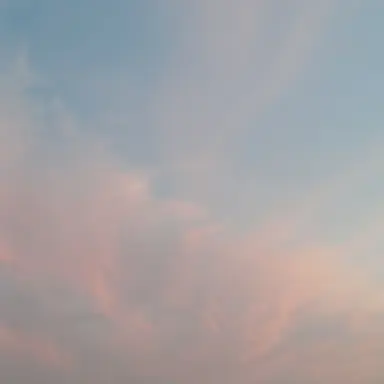 Profile image of 라더