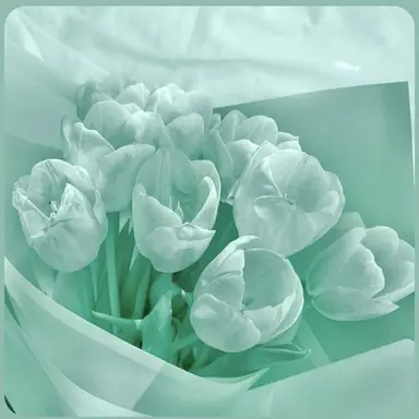 Profile image of 이신