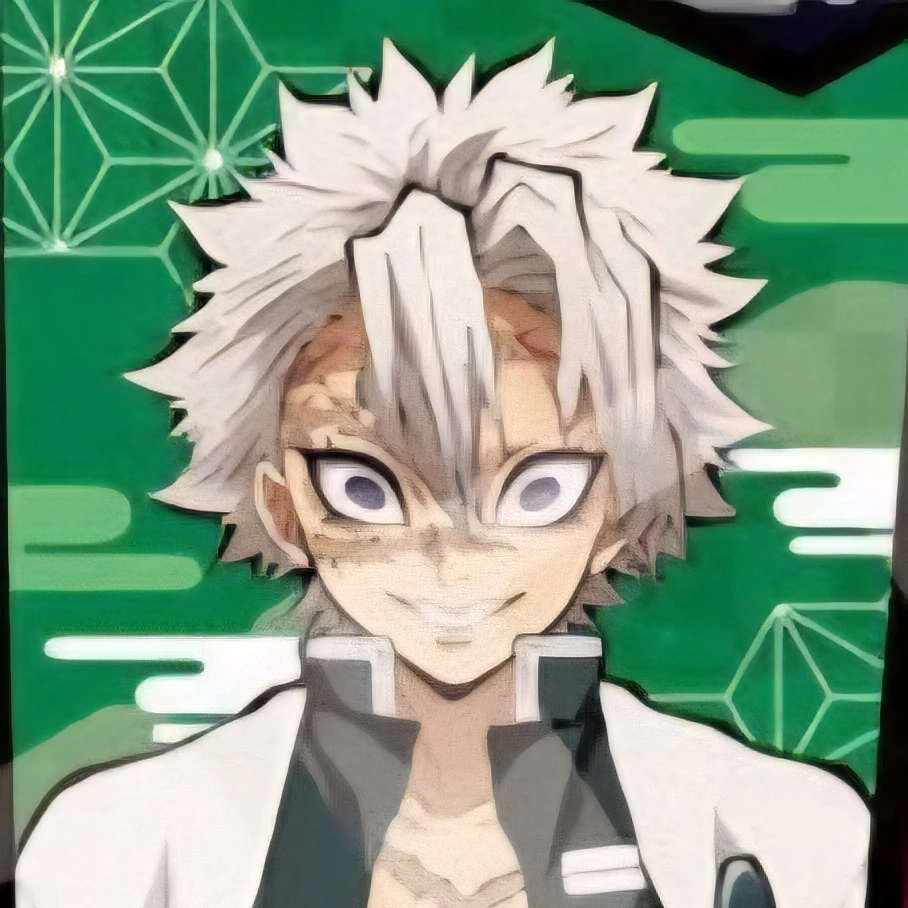 시나즈가와 사네미