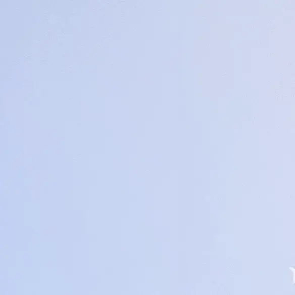 moa_05의 사촌오빠🐧