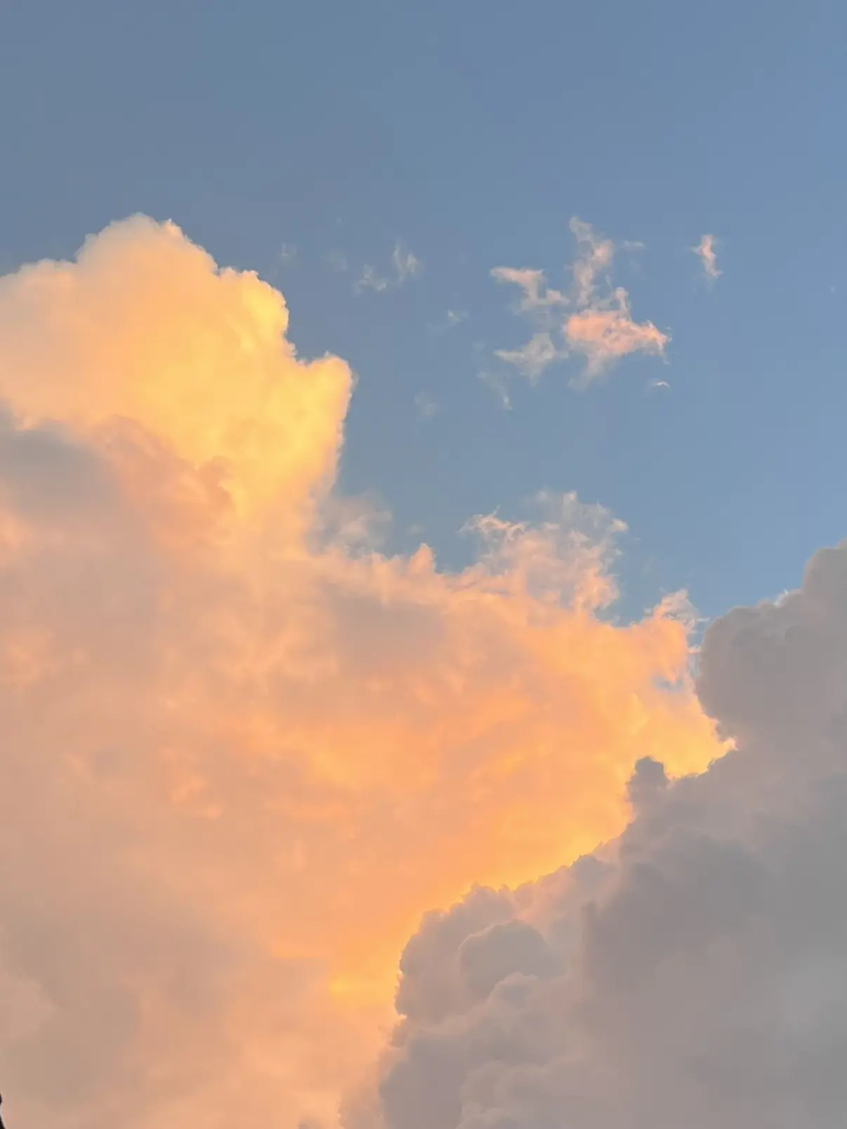 UniqueMall8150의 機械のカラダ