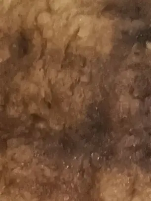 susinosa-monsukinahito의 フォロー数123記念☆