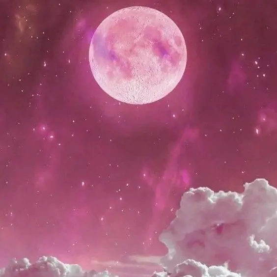 Chohwa의 채밤비