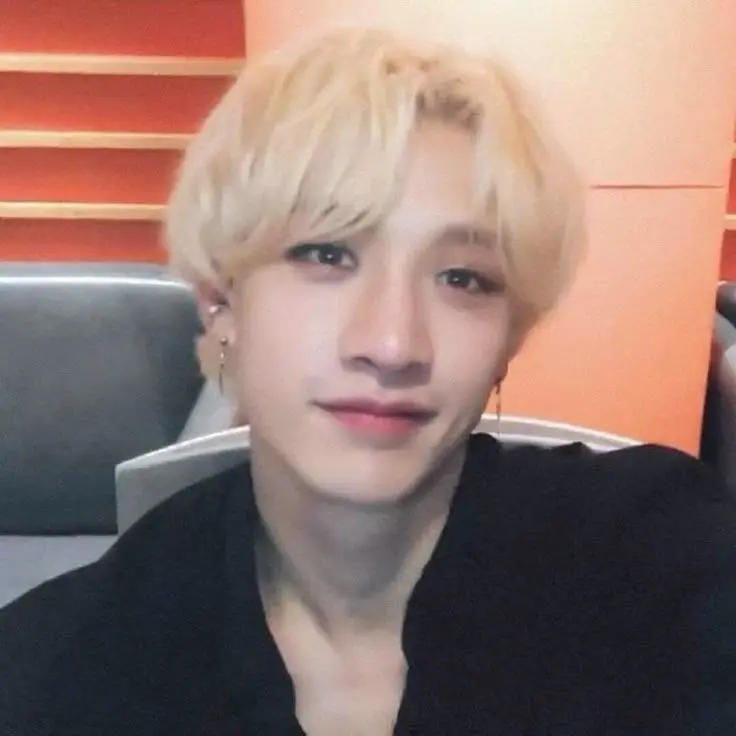 Vampppp의 Bangchan x Felix