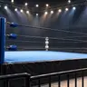 Profile image of プロレスリング