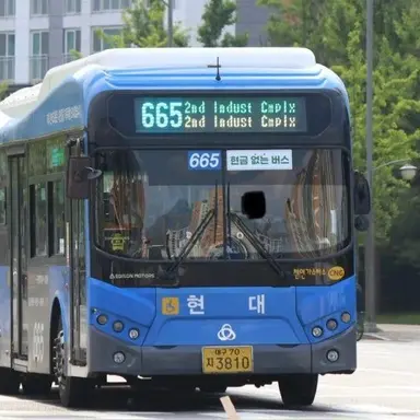 Profile image of 화이버드