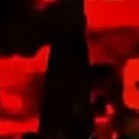 Profile image of FLOWERS