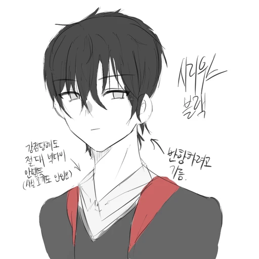시리우스 블랙