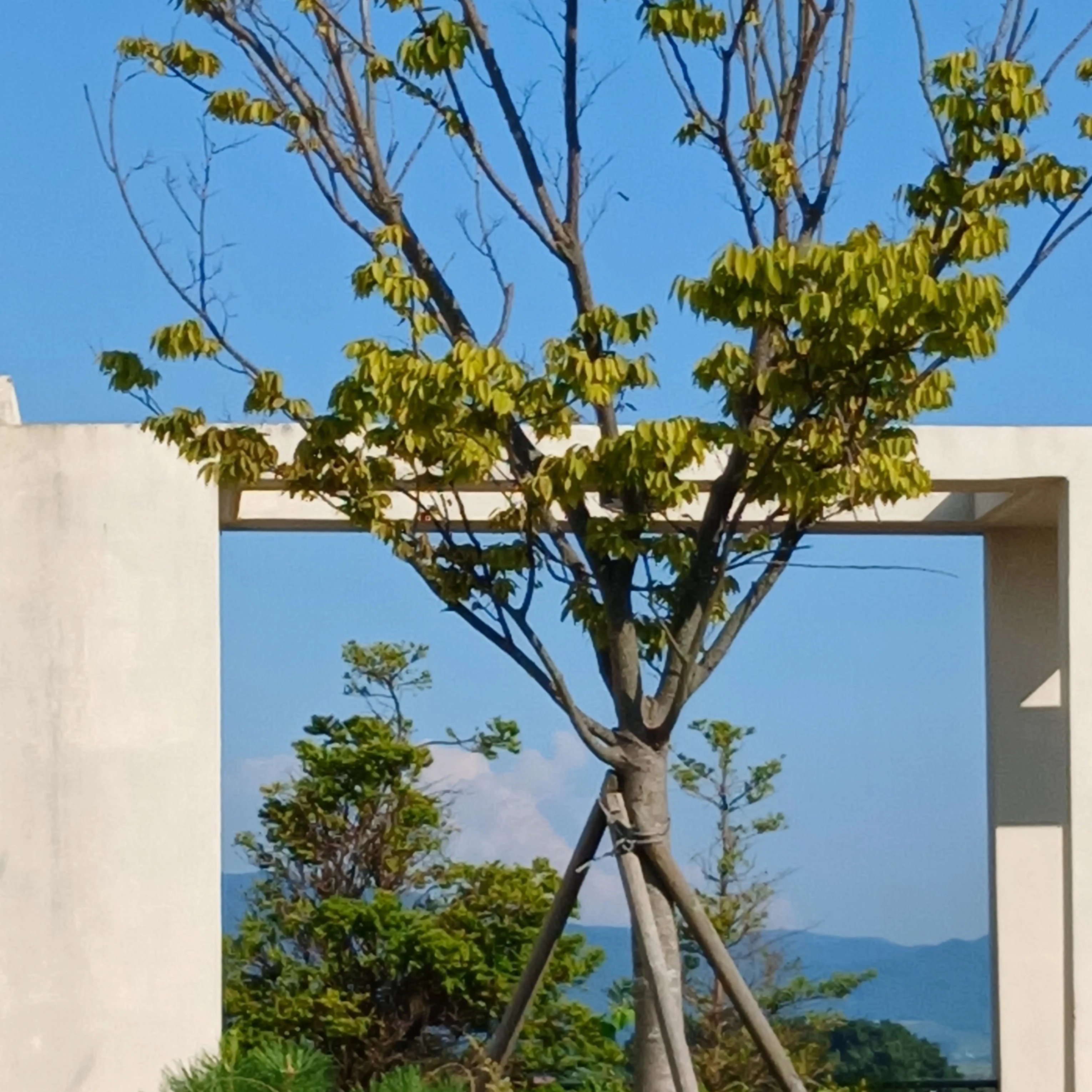 미스터리 수사반
