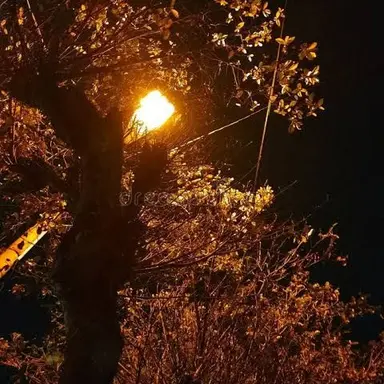 Profile image of 김각별