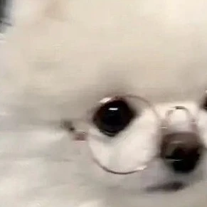 すずしょうと
