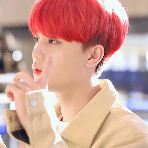 탤