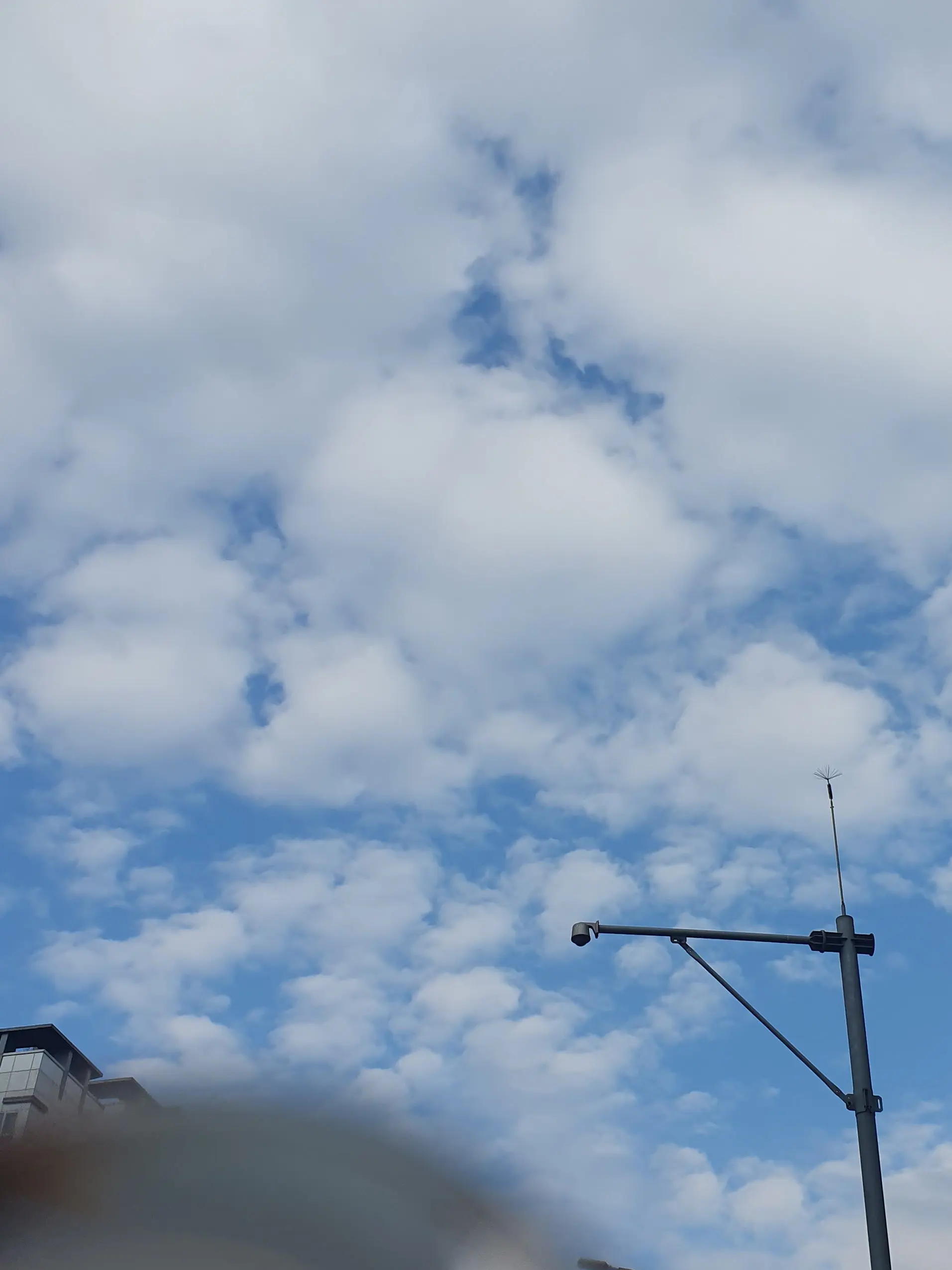 LeafyDecal0906의 체육대회