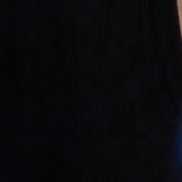 김동현