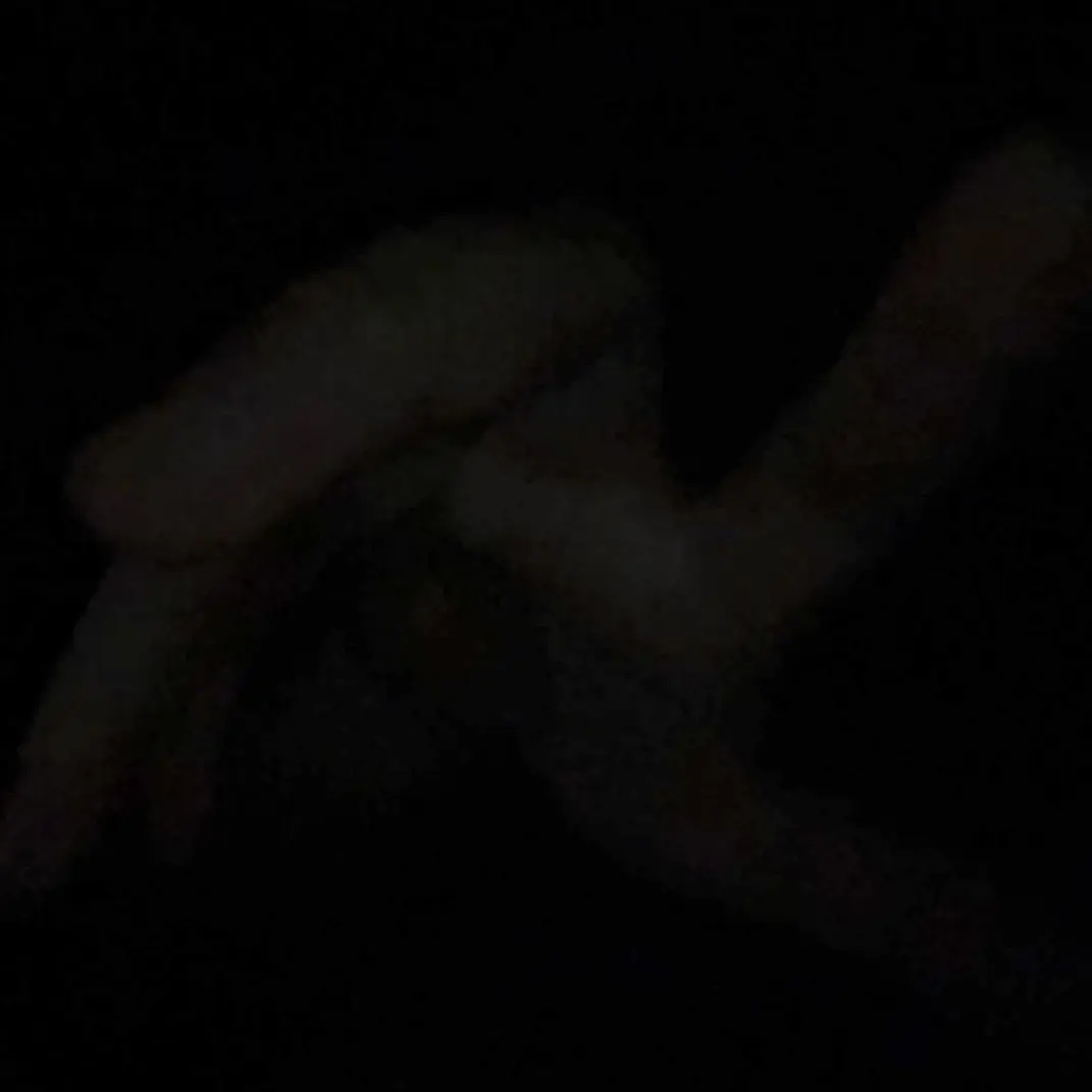 CherryHoop의 건반의 무게가 가벼워 질때까지.