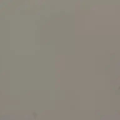 Profile image of オールマイト