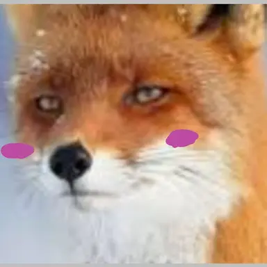 Profile image of 여우