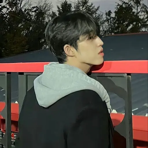 SVT_carat17의 최승철