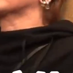 翔
