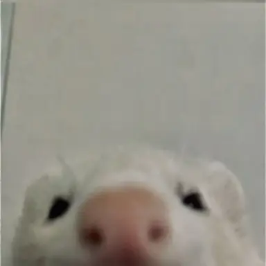 Profile image of ひょんじん