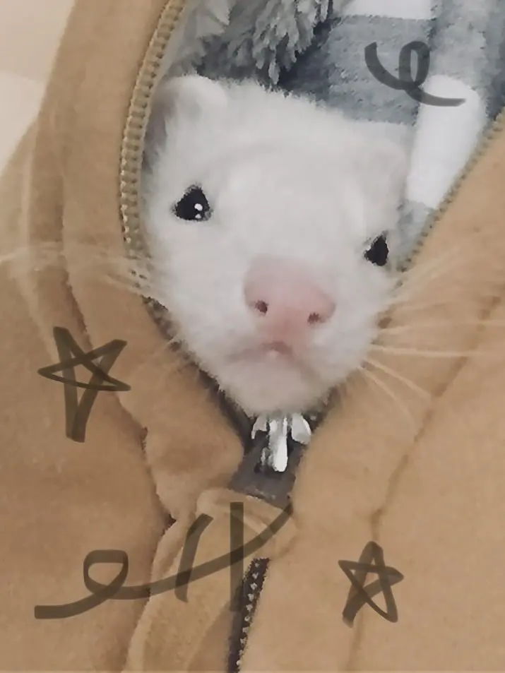 SKZ0325STAY의 人たらし､本命には冷たいらしい