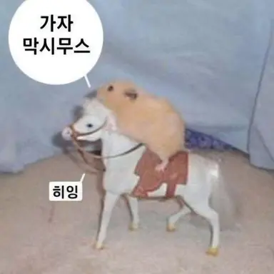 Profile image of 막시스