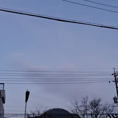 Profile image of 여우