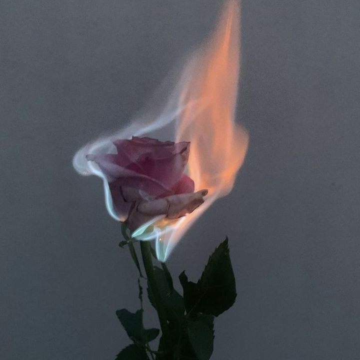 보스님, 나 좀 봐줘. 대표 이미지