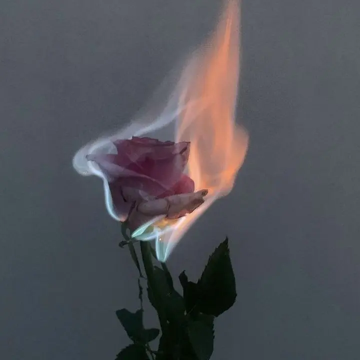 chocolatee_milk의 보스님, 나 좀 봐줘.