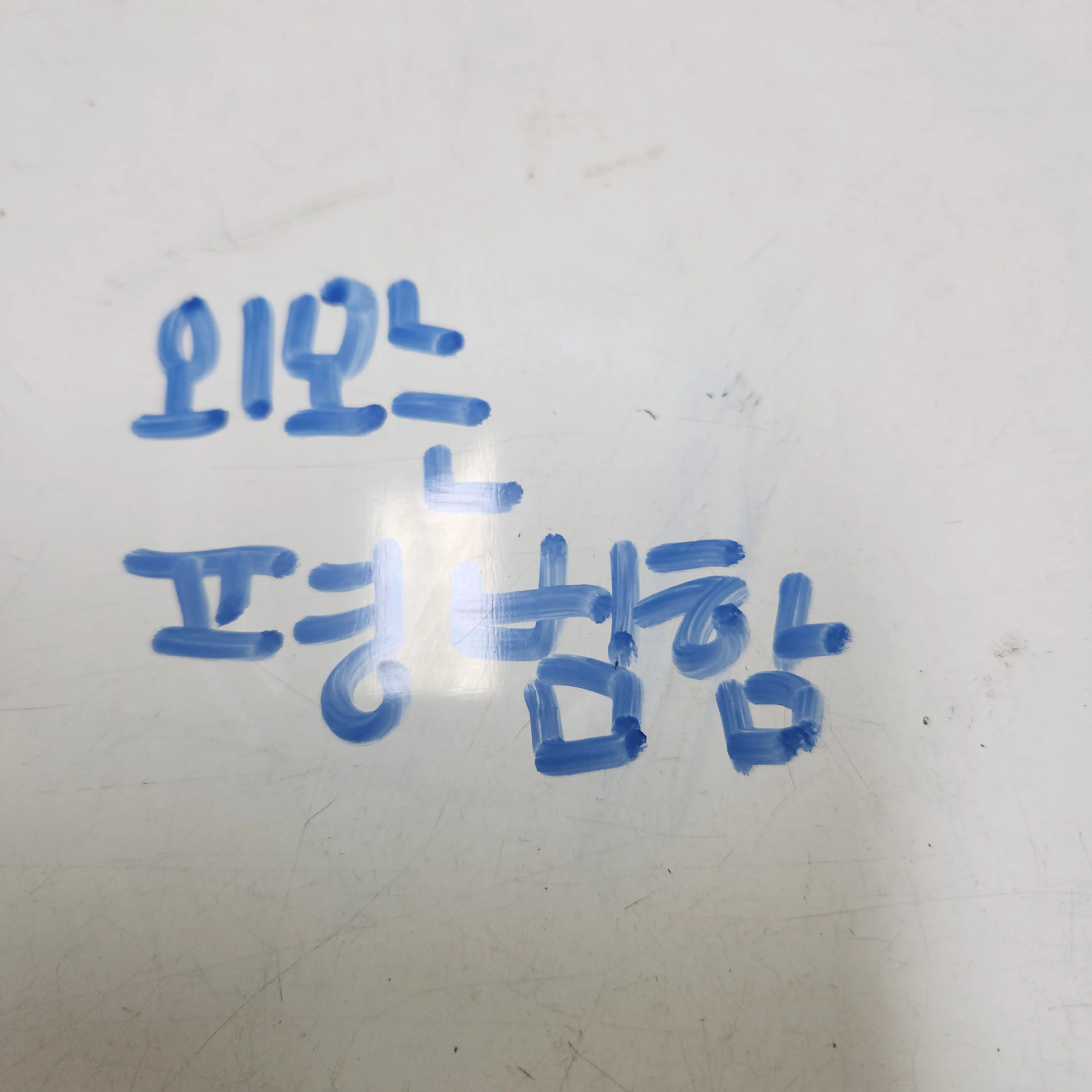 DryPipe9352의 금모래초등학교 3학년 5반