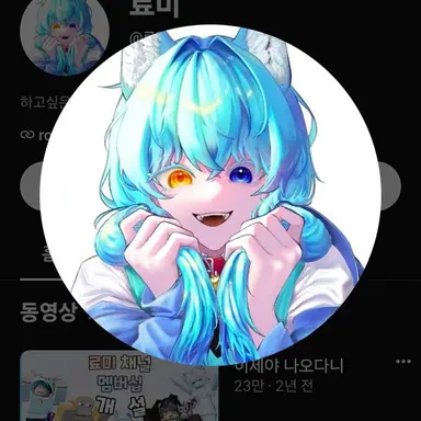 Profile image of 료미
