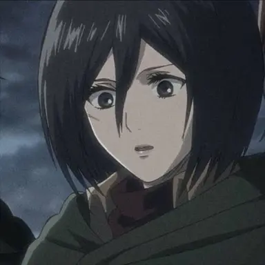 Profile image of ミカサ