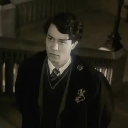 LivelyPouch4502의 Tom riddle