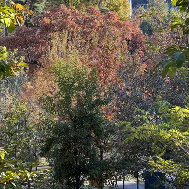 Profile image of 수현